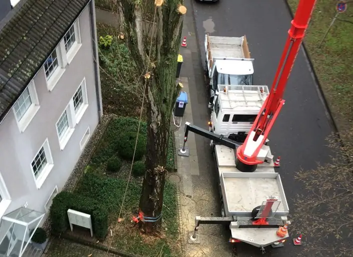 Wir führen auch Fällungen an schwierigen Standorten durch