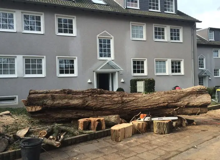 Das Holzmaterial wird vor Ort zerkleinert