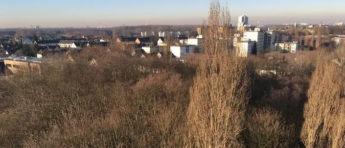 Manchmal geniessen wir auch einfach den Blick auf unsere Heimatstadt Köln