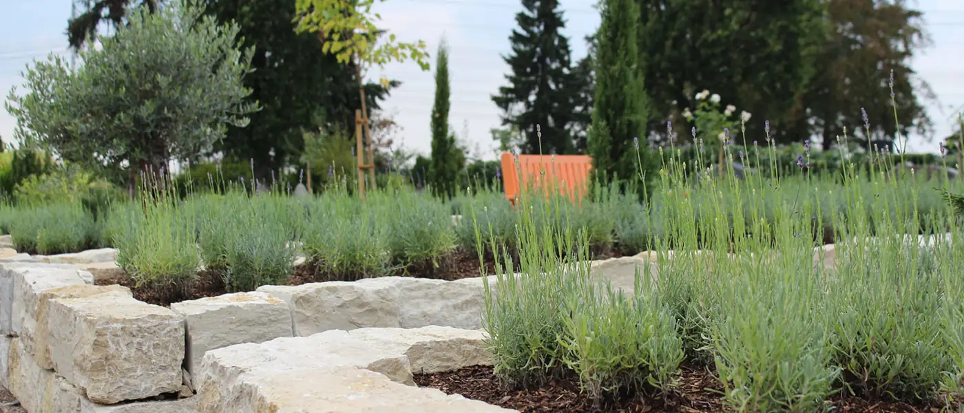 Blick in den Bestattungsgarten Pulheim mit bepflanzten Beeten und Sitzbank