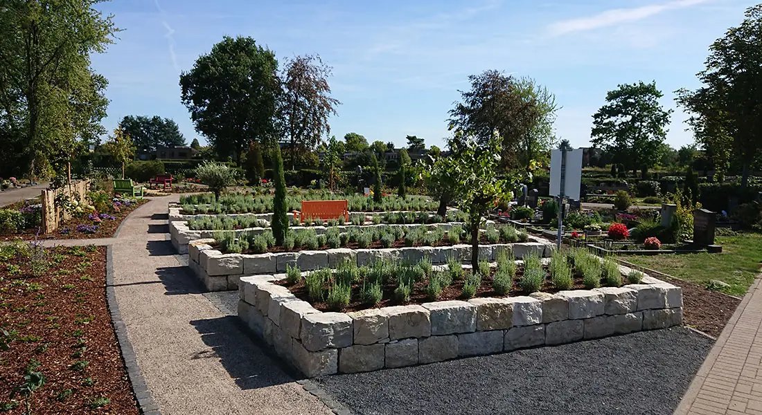 Bestattungsgarten Pulheim mit Trockenmauern aus Kalkstein und Lavendelbepflanzung