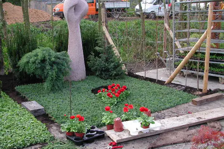 Ausstellung 2012 im Dinger Gartencenter in Köln – Ansicht 4 von 4