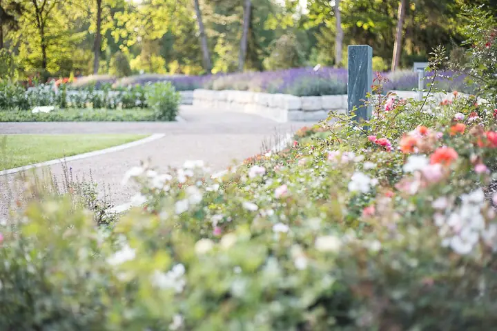 Bestattungsgarten am Westfriedhof Köln – Ansicht 3 von 5