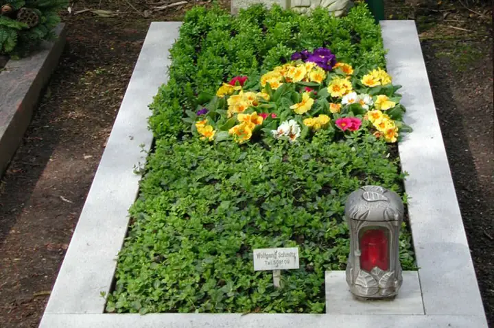 Frühjahr / gemischtes Frühlingsbeet als Wechselbepflanzung