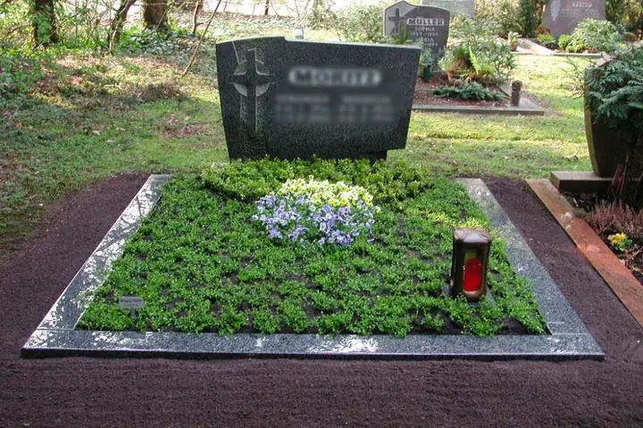 Frühjahr / Bodendecker Frieders Evergreen, Rahmenbepflanzung Herrenhausen und Wechselbepflanzung aus Stiefmütterchen