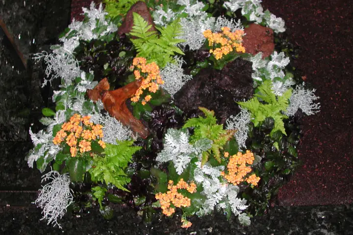 Herbst / Beet in Silber und Weiß mit leuchtenden Kalanchoe und kleinen Lavasteinen