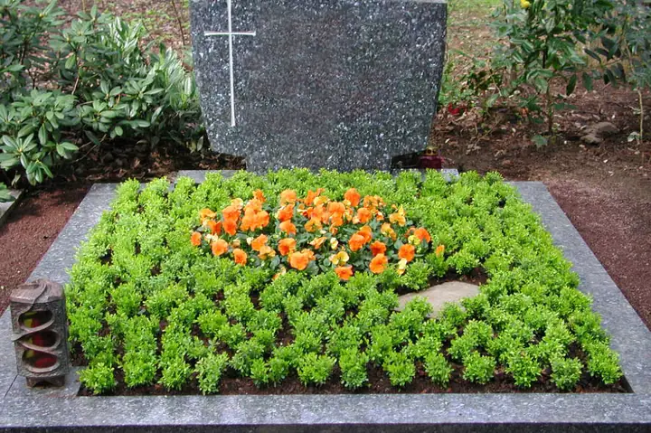 Frühjahr / Bodendecker Herrenhausen und Wechselbepflanzung aus Stiefmütterchen
