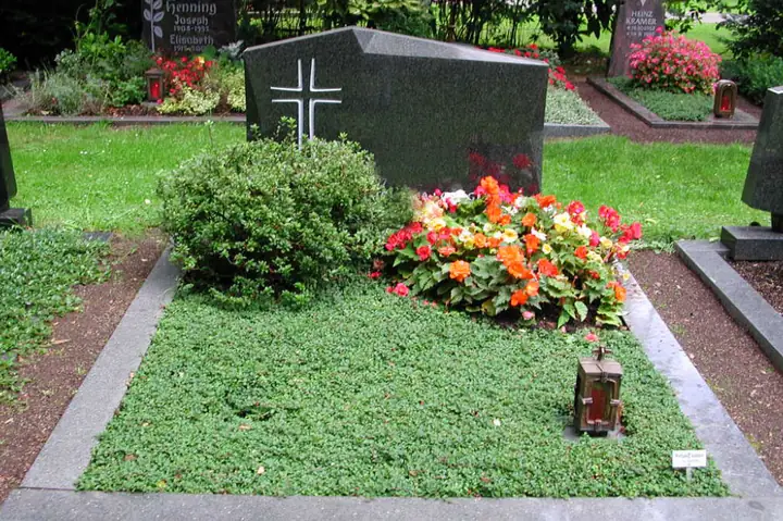 Sommer / Bodendecker Frieders Evergreen, Rahmenbepflanzung Azalea japonica und Wechselbepflanzung aus Knollenbegonien
