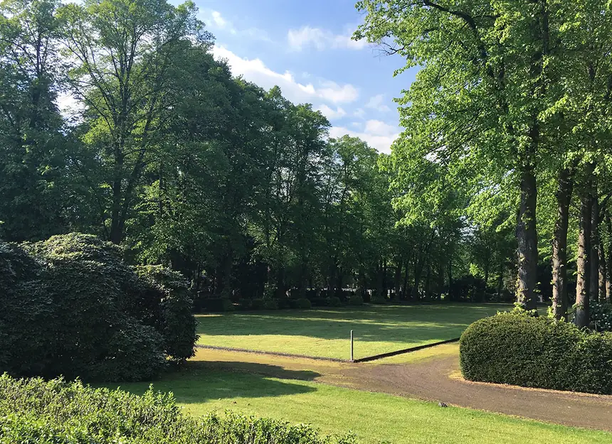 Baumbestand und Wegenetz der Grünanlage